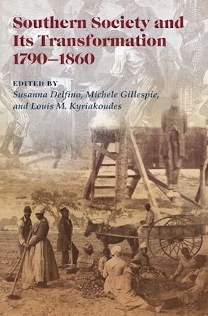Southern Society and Its Transformations, 1790-1860 Paperback  by Susanna Delfino